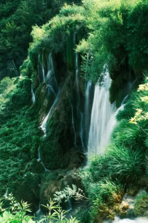 Green Waterfall