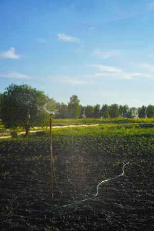 Irrigation System In A Field