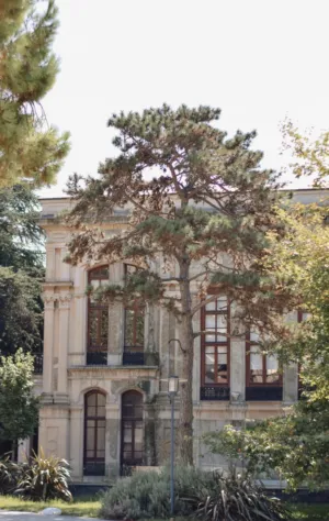 Classical Architecture With Tree
