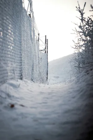 Snowy Path
