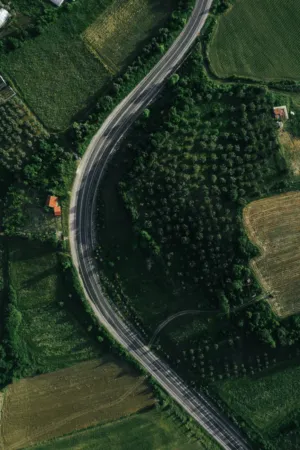 Curving Road Through Green Landscape