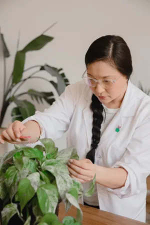 Scientist With Plant