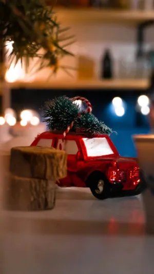 Christmas Car Decoration
