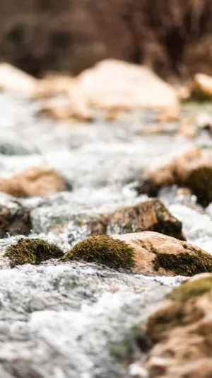 Rushing Stream