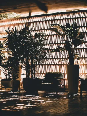 Sunlit Indoor Garden