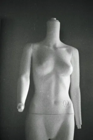 Mannequin Torso