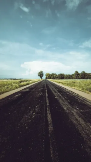 Lonely Road