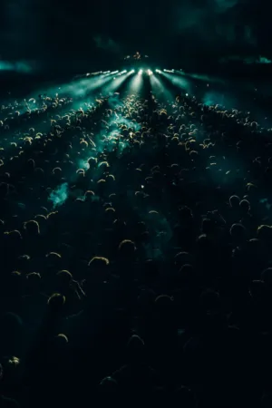 Crowd At A Concert
