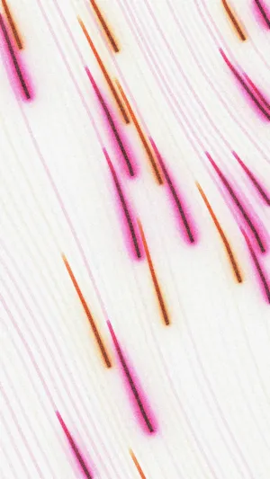 Abstract Art With Pink And Orange Lines