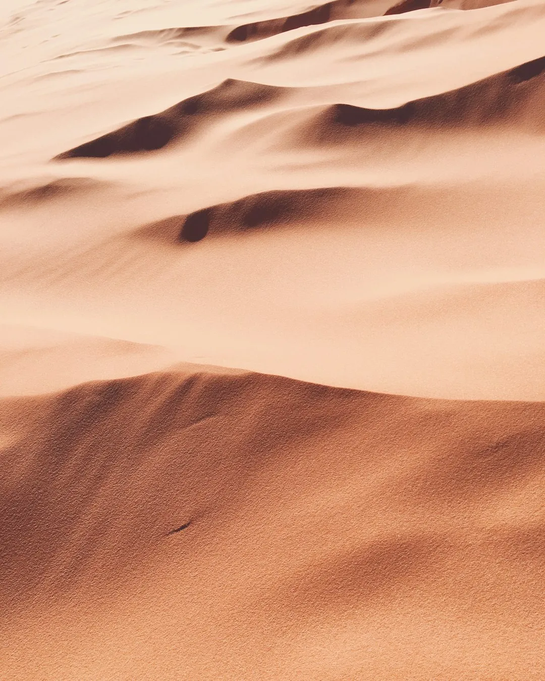 Desert Dunes