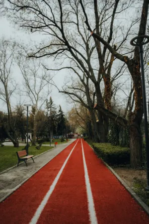 Red Path In The Park