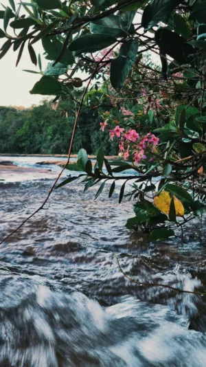 Riverbank With Flowers