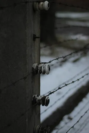 Barbed Wire Fence