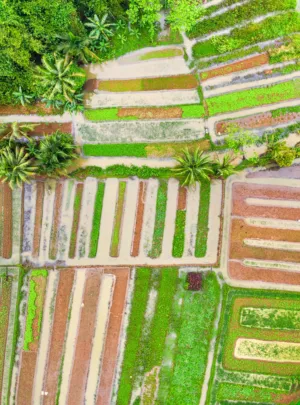 Aerial View Of Flooded Agricultural Fields