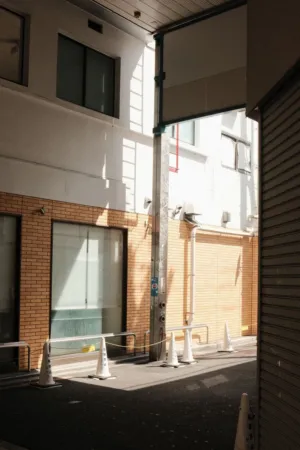 Urban Shadows