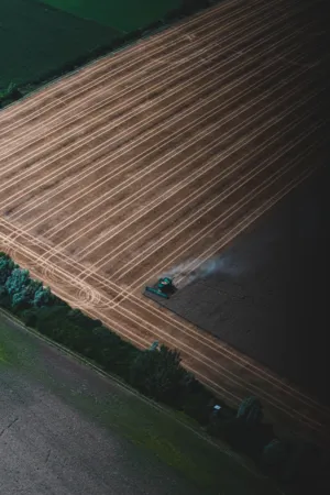 Aerial View Of A Harvesting Field