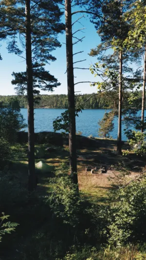 Forest Campsite