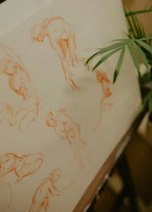 Nude Sketches