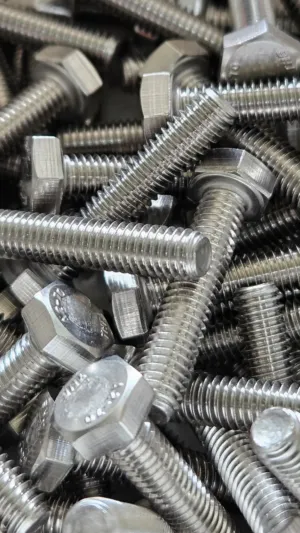Bolt Collection