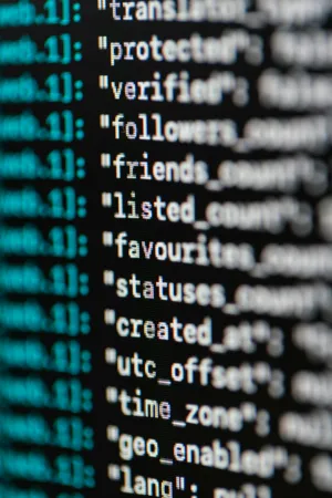 Code Snippet