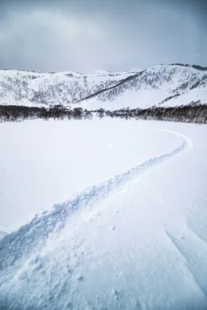 Snowy Landscape