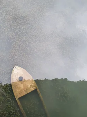 Abandoned Boat In Murky Waters
