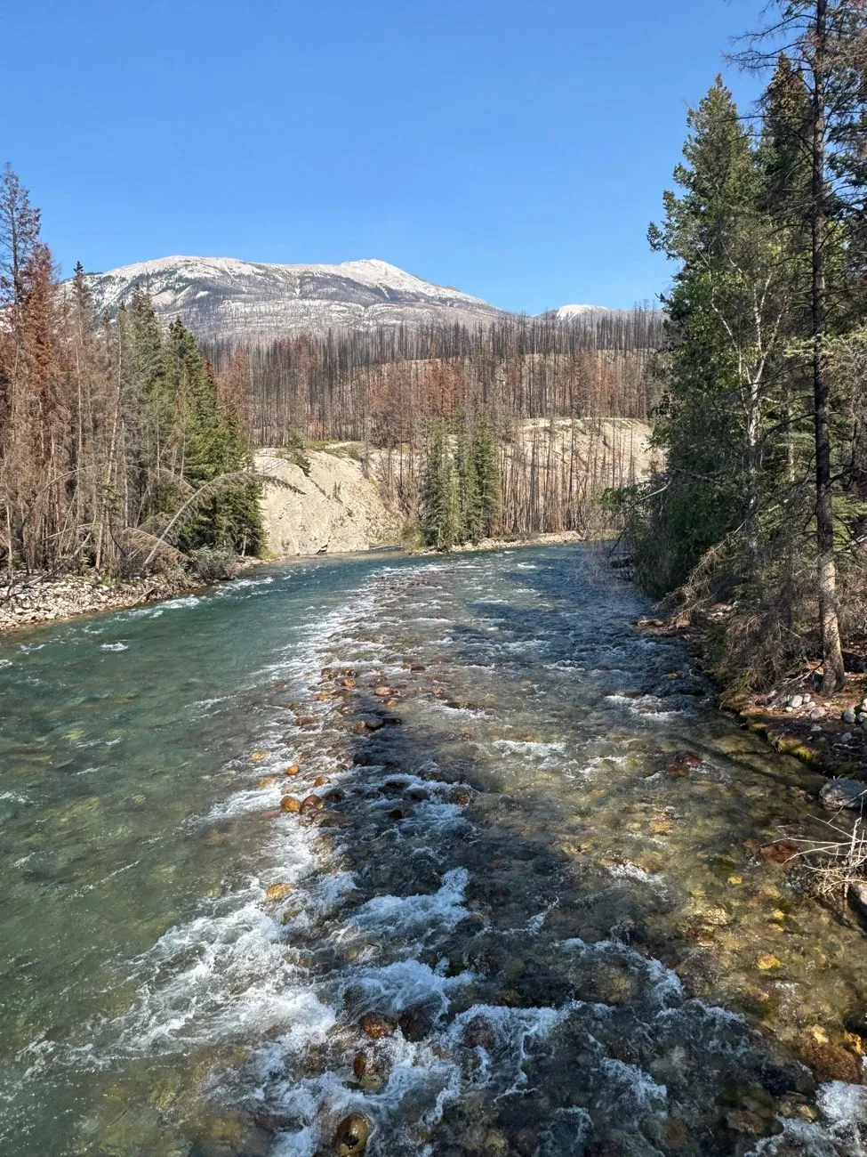 Rushing River In The Mountains