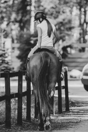 Equestrian Ride