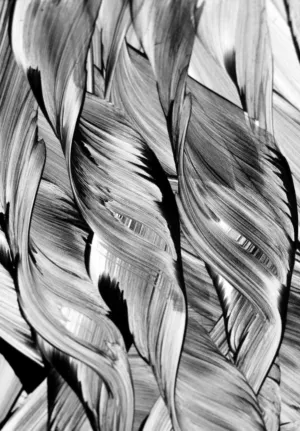 Abstract Leaf Art
