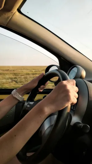 Driving Through A Flat Landscape