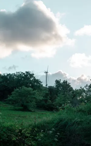 Wind Turbine In Nature