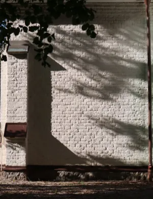 Shadow On A Wall