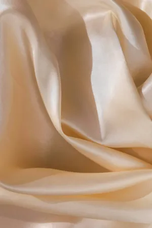 Cream Silk Fabric