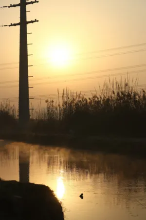 Sunset Reflection