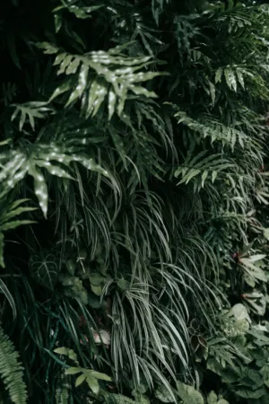 Greenery Wall
