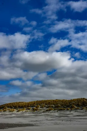 Desert Landscape