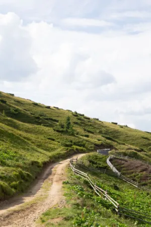 Mountain Path
