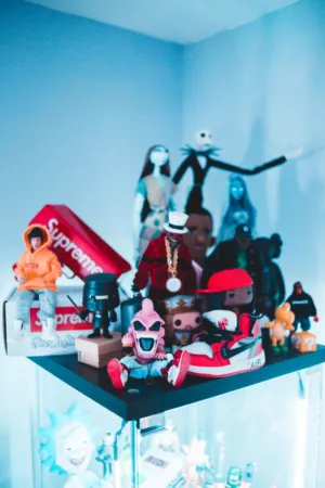 Toy Collection Display