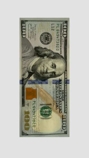 100 Dollar Bill