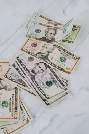 Dollar Bills