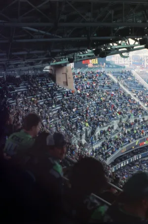 Crowd At Stadium