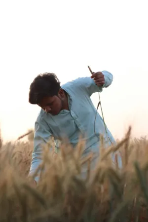 Man In Wheat Field