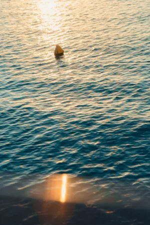 Sunset At Sea