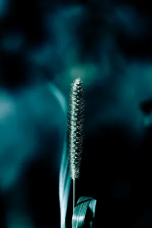 Green Plant