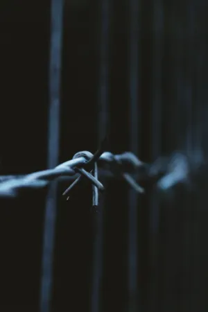 Barbed Wire Fence