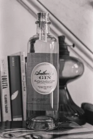 Southwick'S American Gin