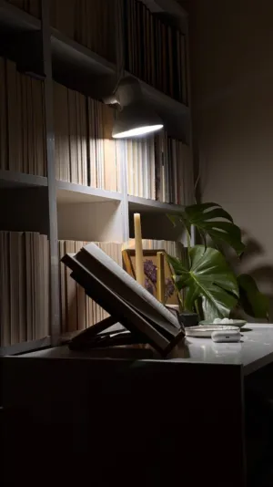 Cozy Reading Corner