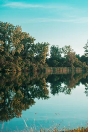Reflections On A Lake