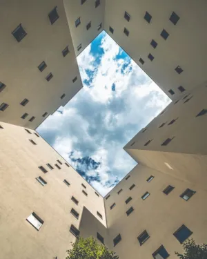 Skyward View