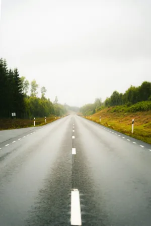 Misty Road